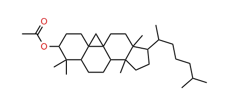 Cycloartanyl acetate